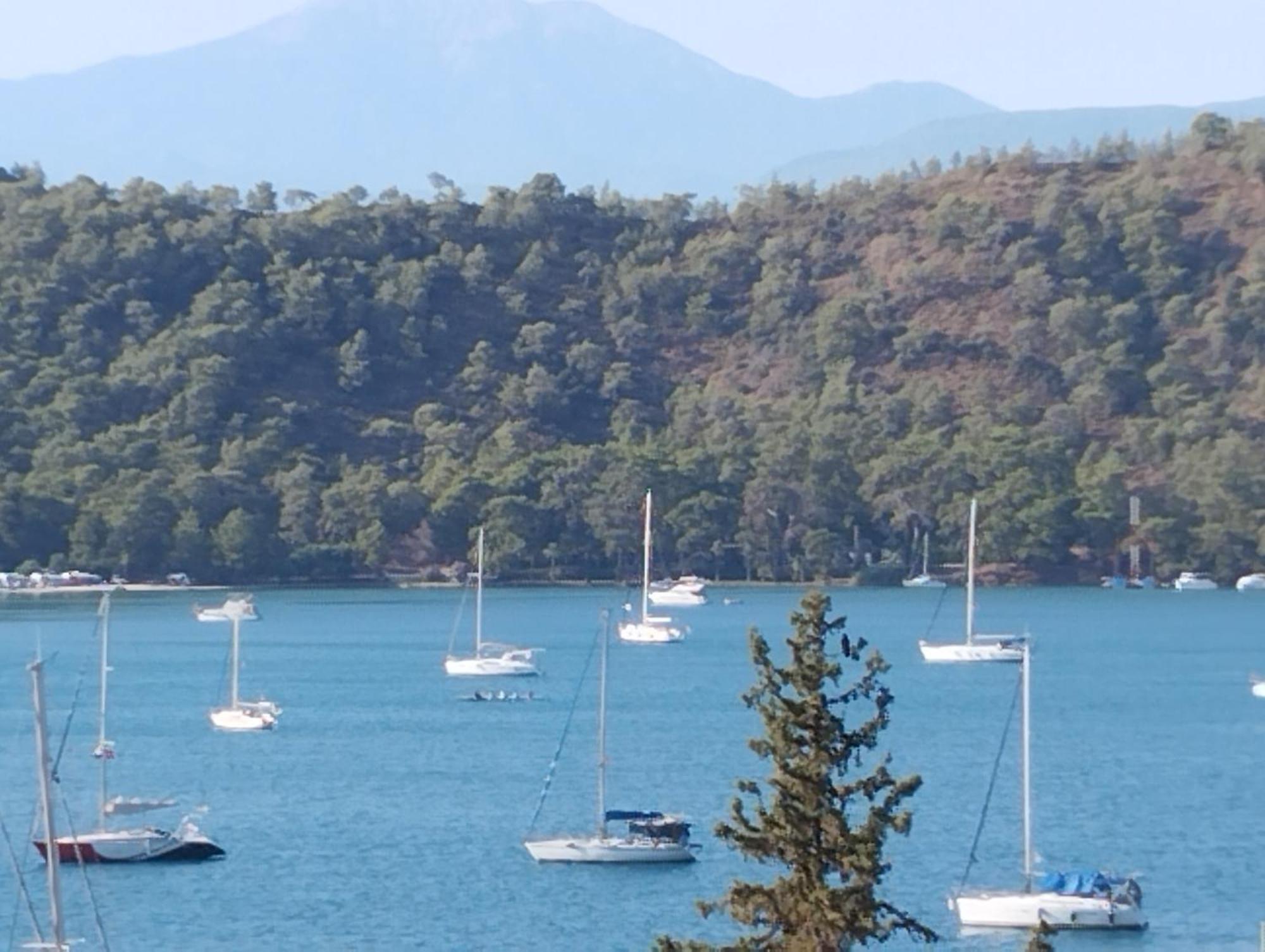فتحية Duygu Apart Spellbinding Sea Views الغرفة الصورة